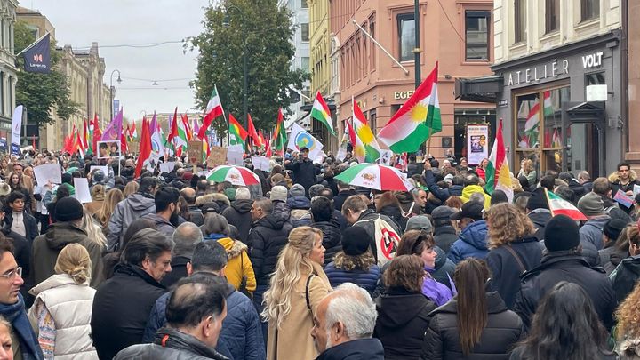 Nyhetsdekningen av opprøret i Iran blir tema i Kringkastingsrådet torsdag 8. desember. Her fra en støttedemonstrasjon i Oslo. FOTO: LOKMAN GHORBANI/NRK
