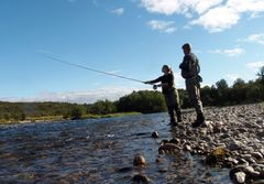 Det ble i 2021 fanget 289 tonn laks i elv, mot et snitt på 427 tonn de fem foregående årene. Foto: Sturla Brørs