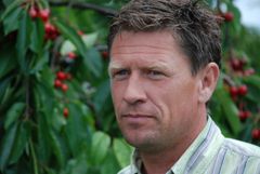 12. generasjon på Hellum gård, Eivind Hellum, har dyrket moreller i femten år.