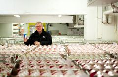 Bent Myrdahl, adm.dir. Q-meieriene m/ Skyr Drikke