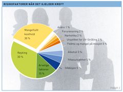 Risikofaktorer når det gjelder kreft