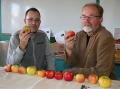 Foto 1: Epletesting hos OFG. Dag Roen, Graminor (t.v)Terje Larssen, leder av styringsgruppen (t.h.) Foto: Opplysningskontoret for frukt og grønt