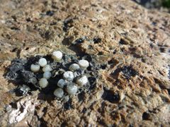 Foto byline: Prestgaard/Andersen