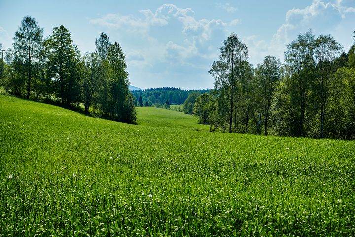 Flere godkjente plantevernmidler på det norske markedet inneholder stoffer som kan brytes ned til trifluoreddiksyre (TFA) i miljøet. Det har nylig kommet kunnskap om at TFA gjenfinnes i overflatevann, drikkevann og grunnvann i Norge.