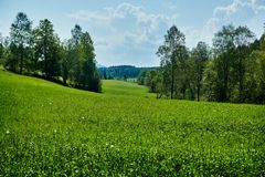 Flere godkjente plantevernmidler på det norske markedet inneholder stoffer som kan brytes ned til trifluoreddiksyre (TFA) i miljøet. Det har nylig kommet kunnskap om at TFA gjenfinnes i overflatevann, drikkevann og grunnvann i Norge.