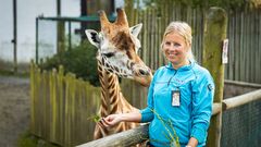 DYREPASSERNE: Vi blir med bak kulissene i Dyreparken i Kristiansand.