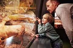 En gutt og far ser på utstillingene gjennom et monter på Naturhsitorisk msueum