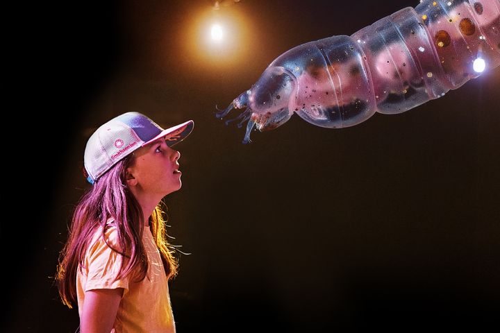 I den nye utstillingen vil publikum bli bedre kjent med det fantastiske og underlige mangfoldet i norsk natur
