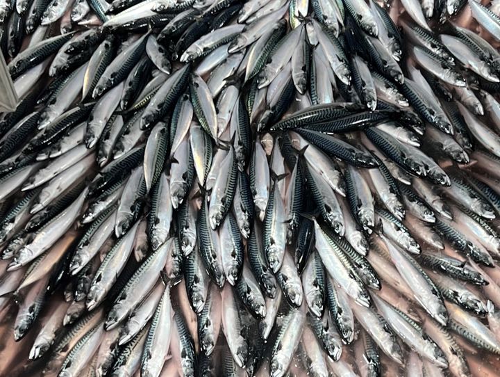 Norge, Storbritannia og Færøyene er blitt enige om en flerårig avtale om forvaltning og fordeling av makrell.