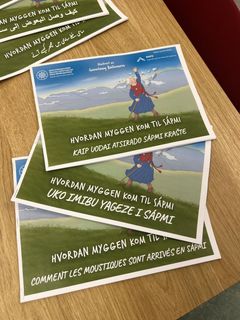 Foto av trykte eksemplarer av fortellingen "Hvordan myggen kom til Sápmi".