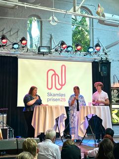Gode stemmer i sosiale medier: Med Anine Olsen, Sara Heiervang og Emil Johan Stenhaug