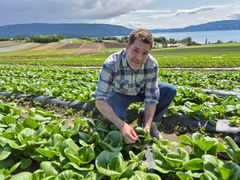 Magnus Voie, sjef for frilandsgrønnsaker i BAMA