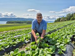Gjermund Kristoffersen, Elstøen Salatgartneri