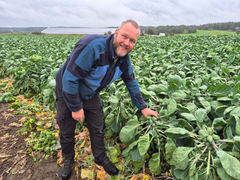 Lars Erik Ek viser frem rosenkålåkeren på Gjølberg gård.