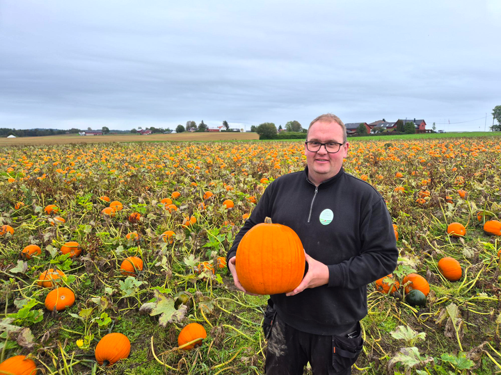 Trygve Andreas Kubberød har funnet gleden med Halloween