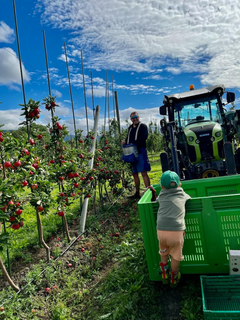 Even Skårberg Aarnes og det som kanskje blir neste generasjons eplebonde.