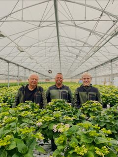 Tre generasjoner Grude. (F.V.: Odd Narve, Leif Johan og Olve)