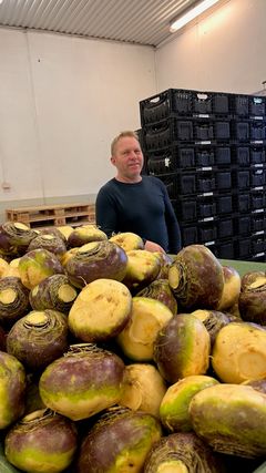 Petter Aarsland er kålrotprodusent
