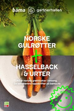 Norske gulrøtter + hasselcack og urter fra Norskkampanjen 2025
