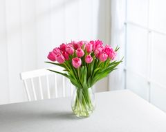 Rosa tulipaner er en vinner til morsdagen