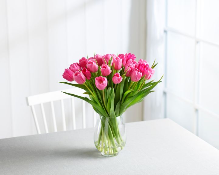 Rosa tulipaner er en vinner til morsdagen