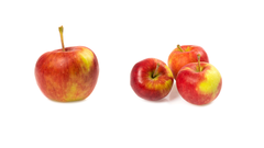 Rubinstep er nå sluttsolgt for sesongen.