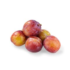 Dompapen har holdt seg unna. Det er godt nytt for norske plommer.