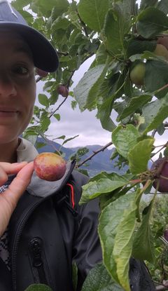 Therese Jaastad og en plomme.