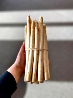 Hvit asparges er en fantastisk råvare