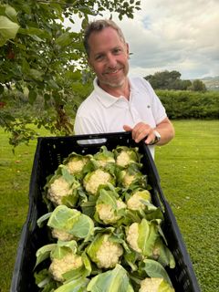 Martin Sørum er blomkålbonde.