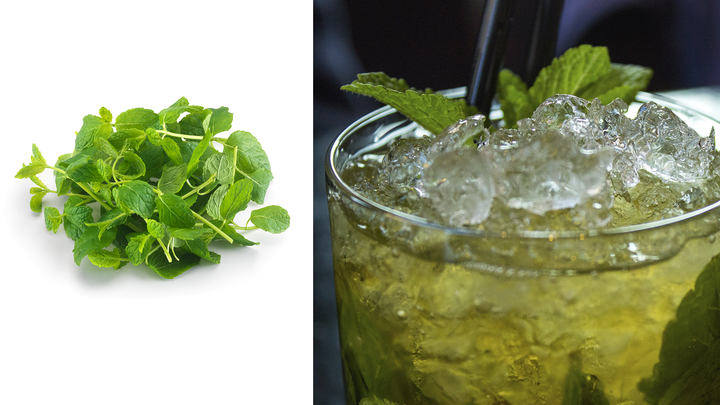 Mojito i sommervarmen sender mynte salget til værs