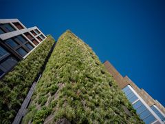 Stenersgata 1 er et foregangsprosjekt innen bærekraft, energieffektivisering og naturmangfold. Prosjektet vant BREEAM-prisen 2025 i kategorien rehabilitering og er sertifisert med "BREEAM-NOR Excellent".