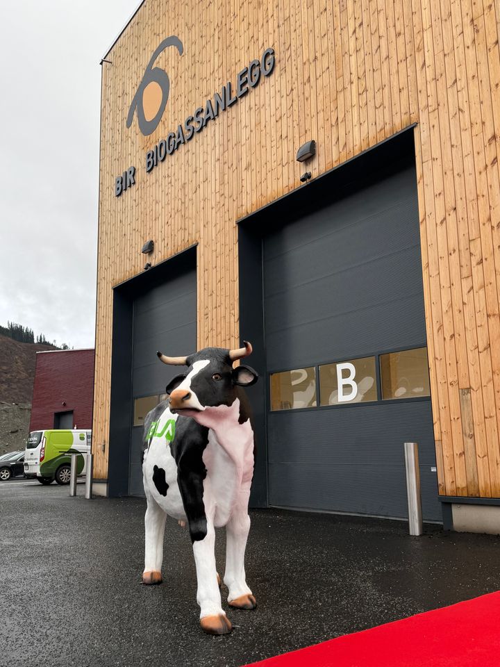 Ved BIRs biogassanlegg på Voss skal matavfall og kumøkk bli til fornybar biogass og næringsrik biogjødsel.