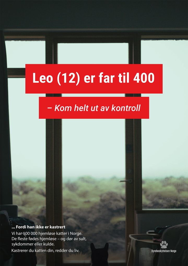 Leo er far til 400 - fordi han ikke er kastrert