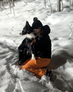 Koda ble funnet igjen, men kunne ha mistet livet.