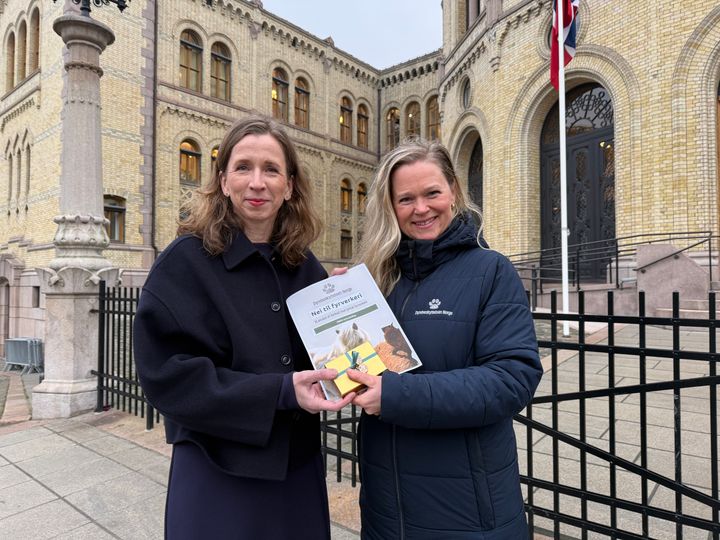 Dyrebeskyttelsen Norge overleverte nesten 75 000 underskrifter mot privat fyrverkeri.