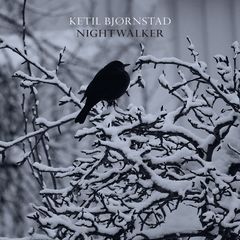 Albumcover: Catharina Jacobsen, Blackbird 2023