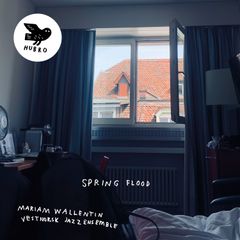 Albumcover, utsikt fra Mariams hotellrom i Basel hvor hun skrev deler av albumet.