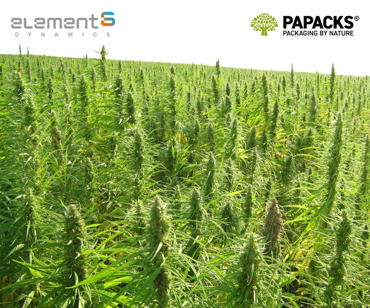 element6 Dynamics and PAPACKS® Announce Partnership Intentions / Largest industrial hemp deal in U.S. history is a milestone for decarbonization efforts.