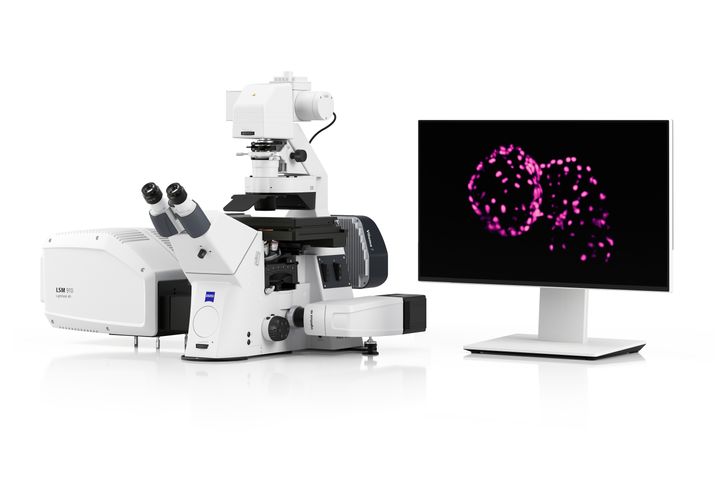 ZEISS Lightfield 4D enables instant volumetric high-speed fluorescence imaging, capturing physiological and neuronal processes in 3D.