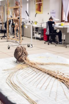 Gunther von Hagens privat copyright: Institute for Plastination, Heidelberg/Germany