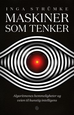 Inga Strümkes bok, «Maskiner som tenker».