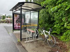 Dyr sykkel låst med tynn vaierlås på et busstopp er nesten som å by tyvene på konfekt, ifølge forsikringsselskapet If. (Foto: If)