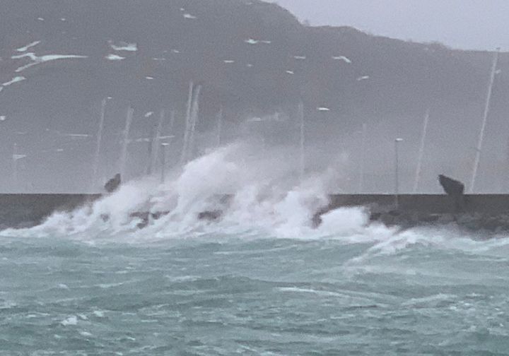 Storm og stormkast rammet mange steder av Sør-Norge i går. Hus, bedrifter, gårder, biler og båter har fått skader, ifølge forsikringsselskapet If. (Arkivfoto: If)