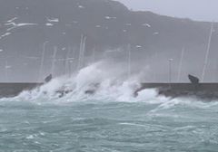 Storm og stormkast rammet mange steder av Sør-Norge i går. Hus, bedrifter, gårder, biler og båter har fått skader, ifølge forsikringsselskapet If. (Arkivfoto: If)