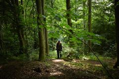 CARL NIELSEN'S CAMINO er produsert av: Tine Louise Kortermand/Nordic Performance Art i samarbeid med Carls Venner, Ida-Marie Vorre/Carl Nielsen Museet og Geopark - Det Sydfynske Øhav