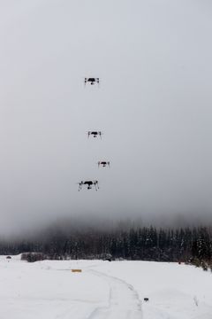 Fire droner. Utendørs. Tøke. Vinter. Skog.