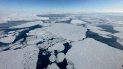 Flak av sjøis på havet