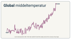 Igjen har vi satt ny global temperaturrekord. 2024 passerte for første gang 1,5 grader over det førindustrielle gjennomsnittet.