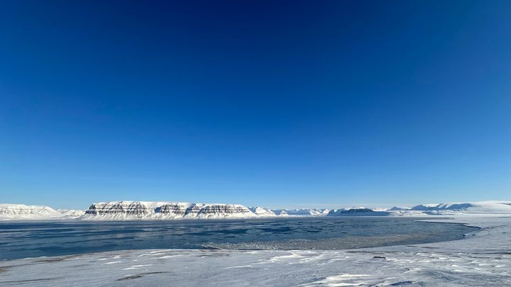 Is som driver i Sassenfjorden. Bildet er tatt fra Sveltihel på Svalbard i mars. Foto: Ine-Therese Pedersen/MET.